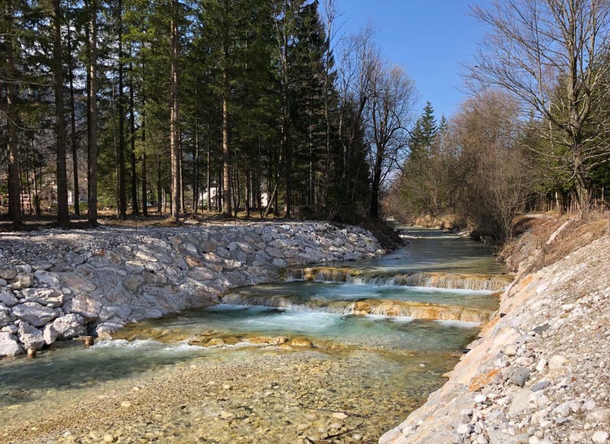 Vila Mojca Apartma Peridot - Center Kranjska Gora Ngoại thất bức ảnh