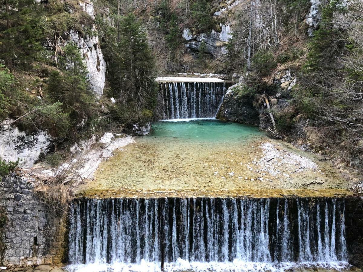 Vila Mojca Apartma Peridot - Center Kranjska Gora Ngoại thất bức ảnh
