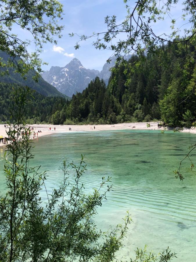 Vila Mojca Apartma Peridot - Center Kranjska Gora Ngoại thất bức ảnh