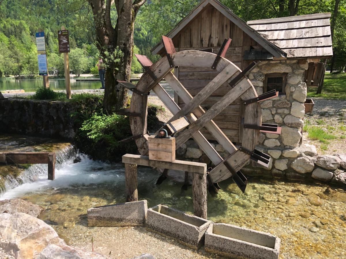 Vila Mojca Apartma Peridot - Center Kranjska Gora Ngoại thất bức ảnh