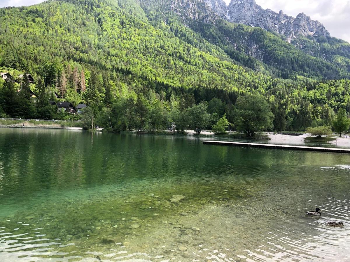 Vila Mojca Apartma Peridot - Center Kranjska Gora Ngoại thất bức ảnh