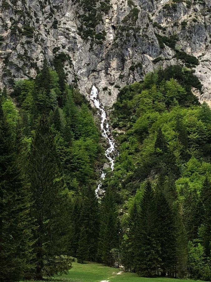 Vila Mojca Apartma Peridot - Center Kranjska Gora Ngoại thất bức ảnh